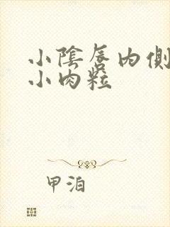 小阴唇内侧皮肤小肉粒封面