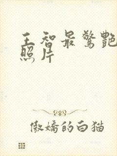 王智最惊艳十张照片