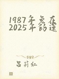 1987年兔在2025年的运气