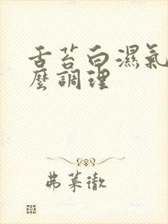 舌苔白湿气重怎么调理