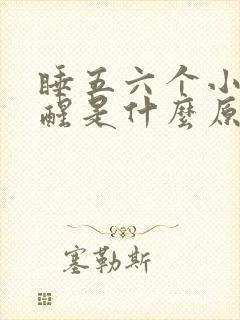 睡五六个小时就醒是什么原因