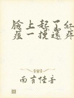 脸上起了红色痘痘一摸还疼怎么回事