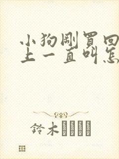 小狗刚买回来晚上一直叫怎么办