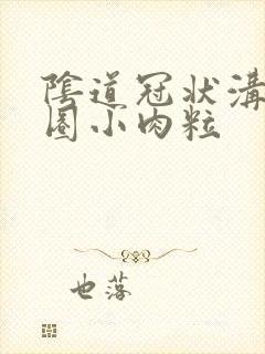 阴道冠状沟有一圈小肉粒