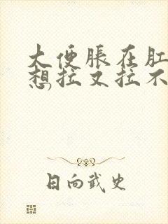 大便胀在肛门处想拉又拉不出来怎么办