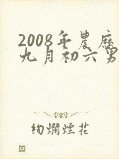 2008年农历九月初六男命