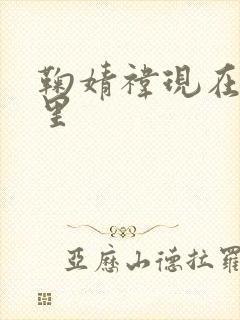 鞠婧祎现在在哪里