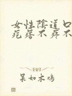 女性阴道口长肉疙瘩不疼不痒