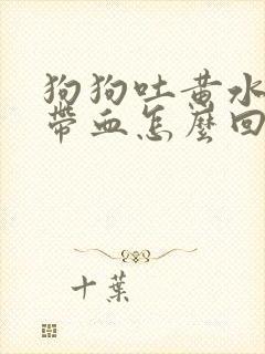 狗狗吐黄水拉稀带血怎么回事封面