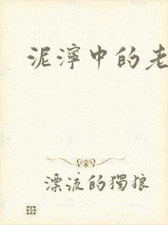 泥泞中的老虎