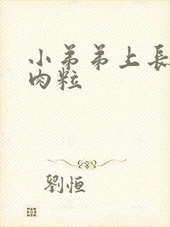 小弟弟上长小硬肉粒封面