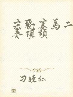 宋飞赛马二胡独奏视频