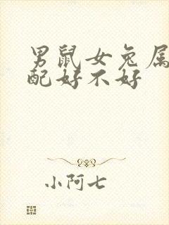 男鼠女兔属相婚配好不好