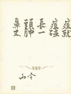 鼻头长痘痘又红又肿一碰就疼