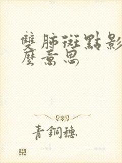 双肺斑点影是什么意思