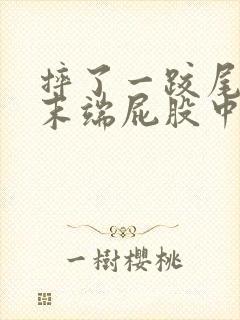 摔了一跤尾椎骨末端屁股中间疼