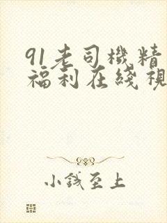 91老司机精品福利在线视频封面