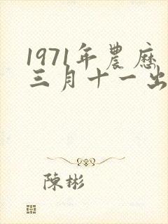 1971年农历三月十一出生是什么命封面