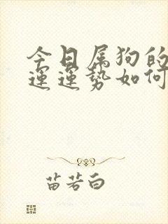 今日属狗的偏财运运势如何