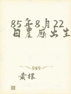 85年8月22日农历出生人命运如何封面