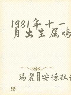 1981年十一月出生属鸡命运封面