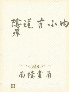 阴道有小肉粒 痒