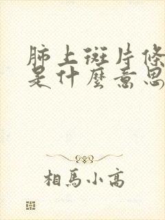 肺上斑片条索影是什么意思