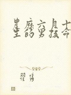 农历六月十三出生的男孩命运