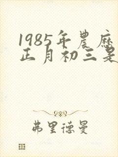 1985年农历正月初三是什么命