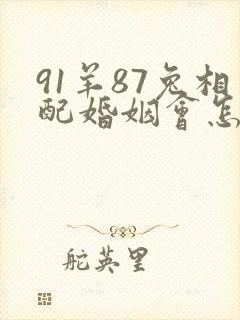 91羊87兔相配婚姻会怎么样封面