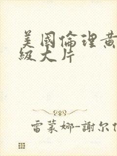 美国伦理黄色一级大片封面