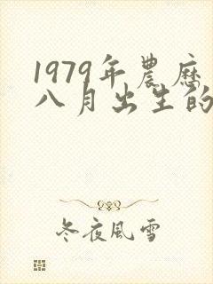 1979年农历八月出生的羊的命运