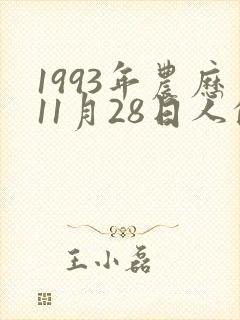 1993年农历11月28日人的命运