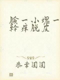 脸一小块一小块干痒脱皮封面