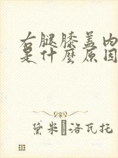 右腿膝盖内侧痛是什么原因