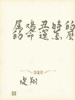 属鸡丑时的女孩的命运怎么样封面