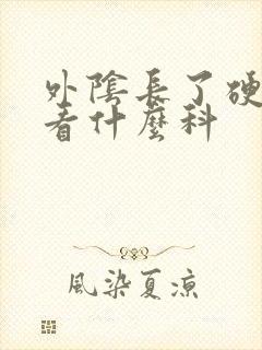 外阴长了硬疙瘩看什么科封面