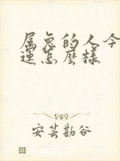 属兔的人今年财运怎么样