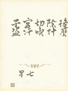 子宫切除后潮热盗汗吃什么药