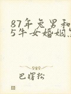 87年兔男和85牛女婚姻怎样
