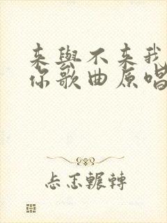 来与不来我都等你歌曲原唱