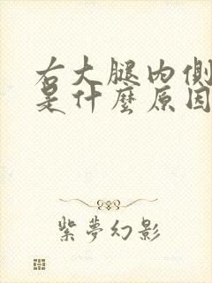 右大腿内侧抽筋是什么原因引起的