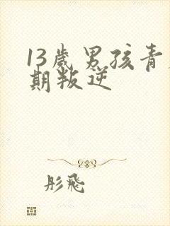 13岁男孩青春期叛逆