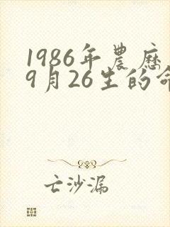 1986年农历9月26生的命运