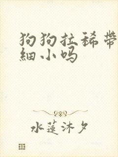 狗狗拉稀带血是细小吗