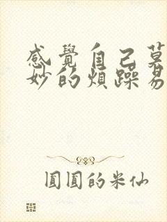 感觉自己莫名其妙的烦躁易怒情绪不稳定