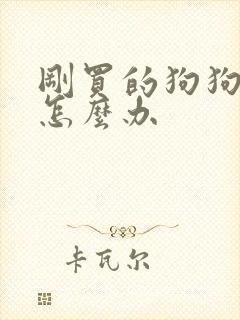 刚买的狗狗拉稀怎么办