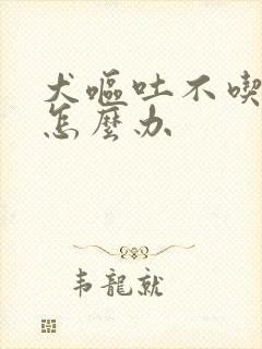 犬呕吐不吃东西怎么办