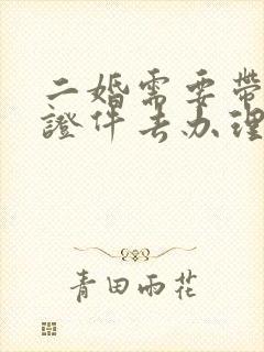 二婚需要带什么证件去办理结婚证