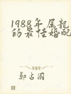 1988年属龙的最佳婚配男